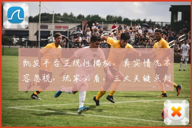 凯发平台正规性揭秘，真实情况不容忽视，玩家必看，三大关键点判断