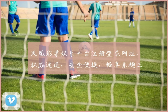 凤凰彩票娱乐平台注册登录网址，权威通道，安全便捷，畅享乐趣三重保障，轻松登录体验