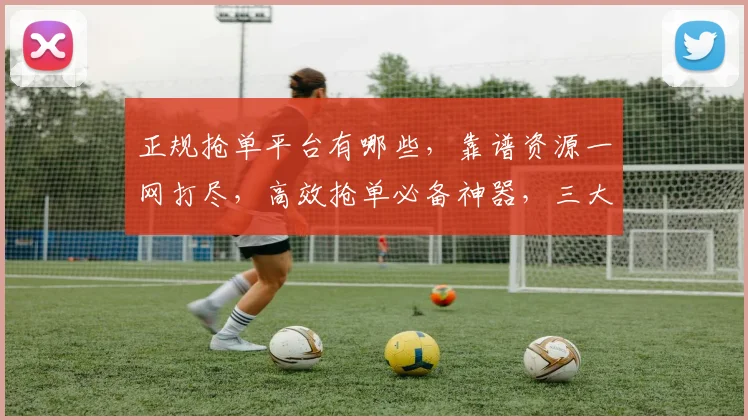 正规抢单平台有哪些，靠谱资源一网打尽，高效抢单必备神器，三大平台推荐，让您轻松赚钱