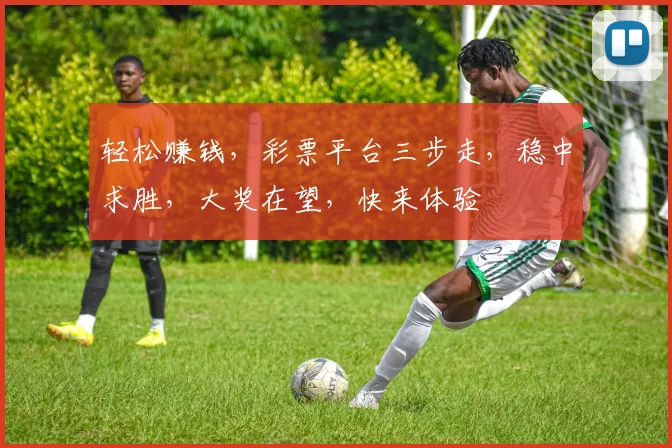 轻松赚钱，彩票平台三步走，稳中求胜，大奖在望，快来体验