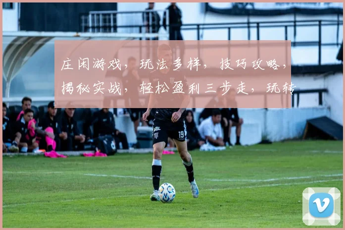 庄闲游戏，玩法多样，技巧攻略，揭秘实战，轻松盈利三步走，玩转娱乐场