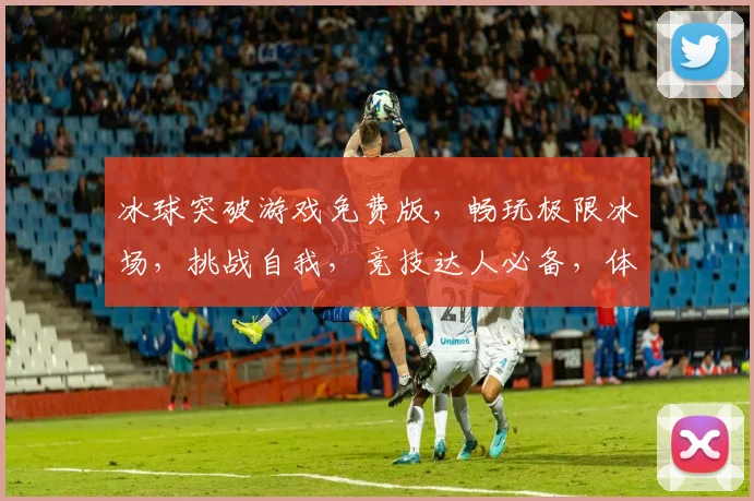 冰球突破游戏免费版，畅玩极限冰场，挑战自我，竞技达人必备，体验冰上速度与激情